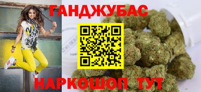 сатива Новодвинск