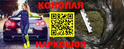 сатива Новодвинск